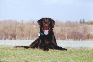 Hunter at about 9 months